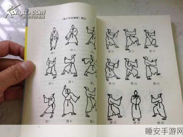 武当天赋加点秘籍,打造最强神功之路