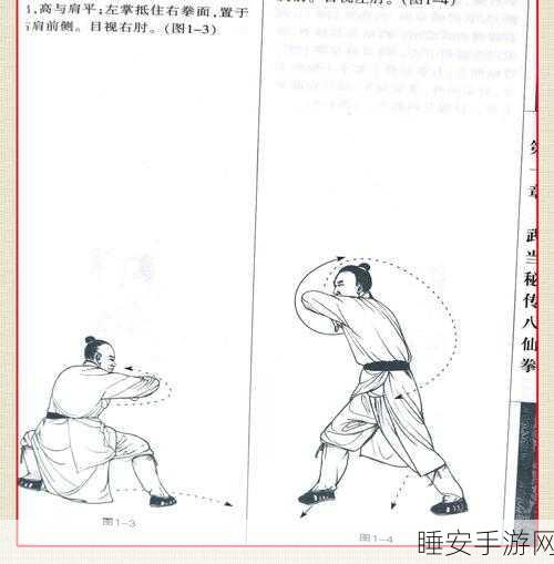 武当天赋加点秘籍,打造最强神功之路