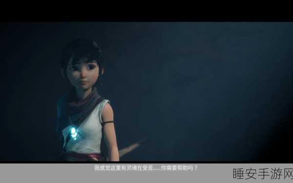 灵魂之桥后续内容多少钱:灵魂之桥后续内容的费用是多少?" 😊