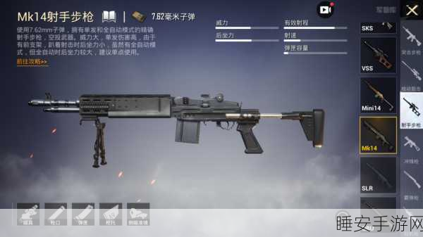 SKS和mk14:SKS与MK14的对比"🔫
