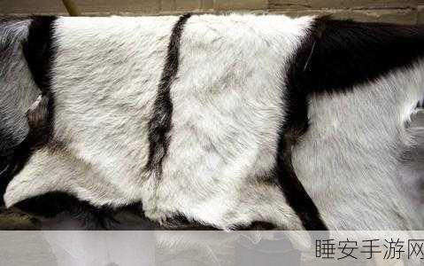 AAAA级毛皮的三个品牌:“三个AAAA级毛皮品牌”🐾
