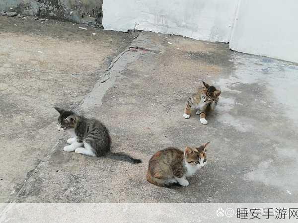 萌喵来袭!喵趣横生,猫咪消除大冒险下载开启,休闲新选择!