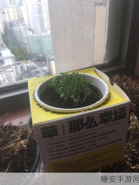 四叶草实验室研究所2023:2023年四叶草实验室研究中心" 🌱