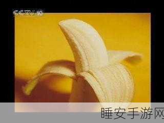 www香蕉视频APP:香蕉视频平台" 📱