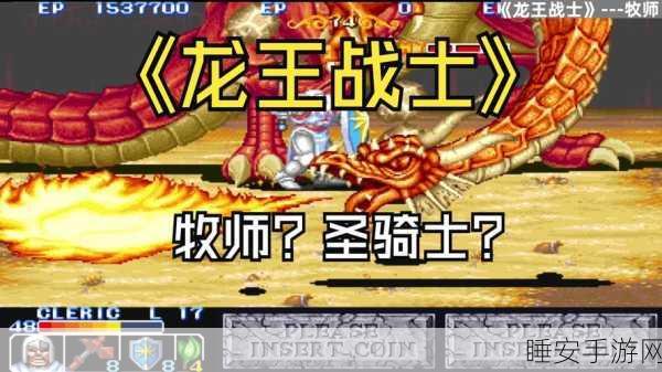 称霸龙王战场,全方位龙王战士攻略秘籍