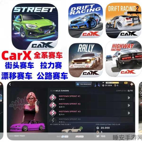 飙车狂热者必玩!极速赛道,赛车闯关挑战游戏详解