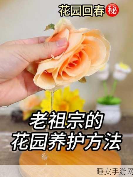 亲小花园十个技巧和技巧与注意事项:小花园养护的十个实用技巧与注意事项🌼