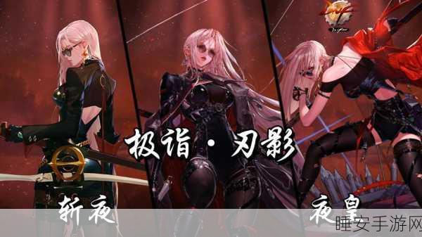 DNF 复仇者,全新加点秘籍与深度技能剖析