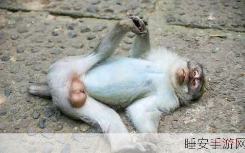 二人一起生猴子全程不盖被子:两人共同育猴全程不盖被" 😂