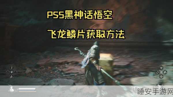 黑神话悟空,飞龙鳞片获取秘籍大揭秘
