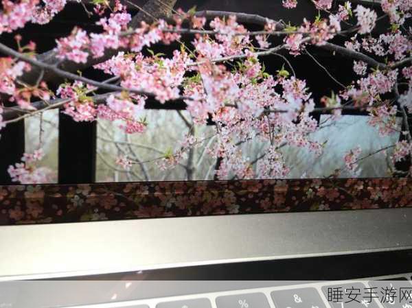 1213岁macbookpro日本:1213年 MacBook Pro 日本之行"🇯🇵