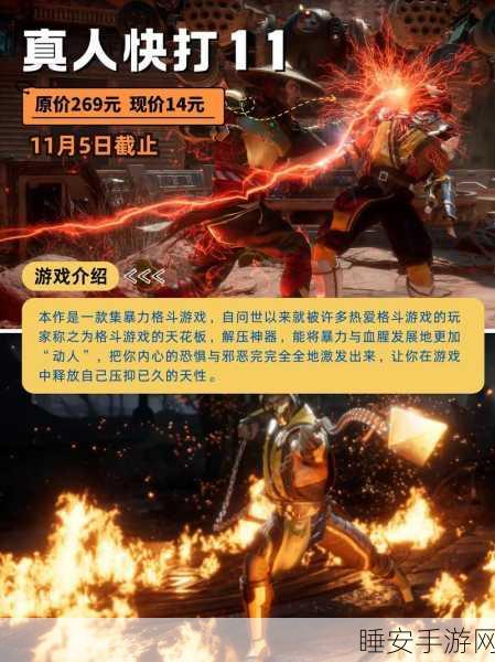 烹饪大赛燃爆指尖！The Cook游戏下载指南，尽享妙趣横生的休闲时光