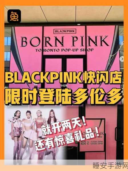 Blackpink粉丝狂欢!Magic Tiles: Blackpink EditioniOS游戏独家揭秘