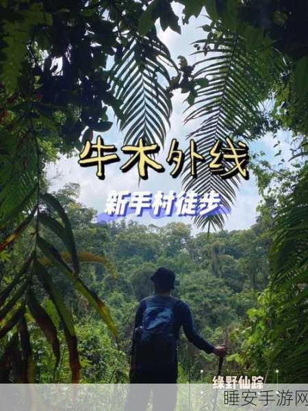 挑战你的智慧极限,非常普通的牛手机版休闲益智新体验
