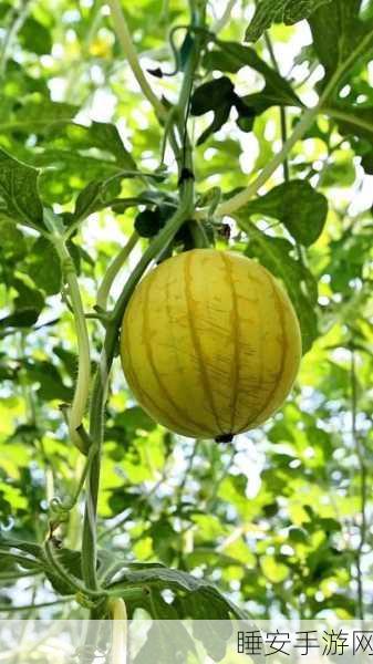 51cg1.ct吃瓜:51cg1.ct围观瓜事"🍉