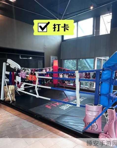 热血拳击淘汰赛,多人联机格斗竞技,挑战你的格斗极限!