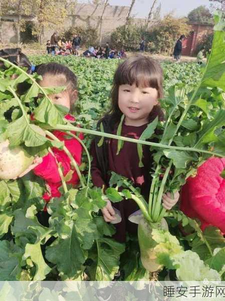 甘雨拔萝卜风险:甘雨的拔萝卜挑战" 🥕