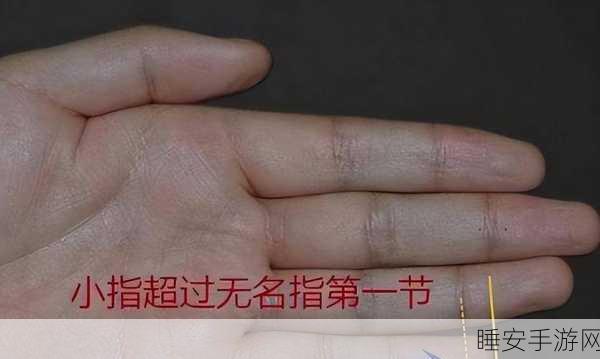 一年经年经继拇的道理和道理:拇指的智慧与启示" 😊