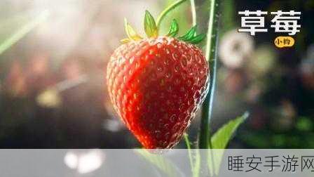 草莓视频在线看:在线观看草莓视频" 🍓