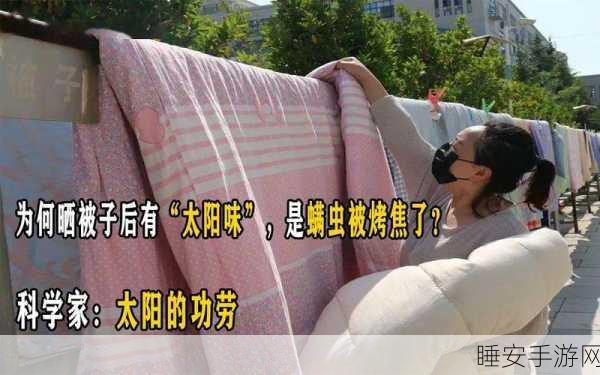 揭秘,被子的太阳味究竟是不是螨虫被烤焦的味道?