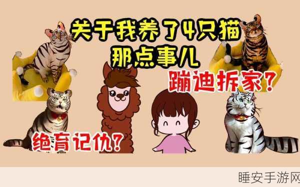 QQ 空间宠物猫易主秘籍,你必须知道的这些事儿