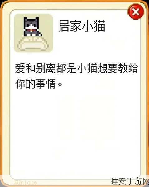 皮卡堂浪漫表白秘籍,让你的心意完美传达