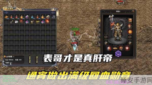 传奇战士 43 勋章获取秘籍大揭秘