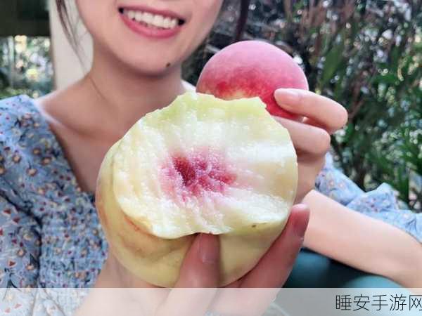 无码蜜芽TV:无码蜜芽TV" 🍑