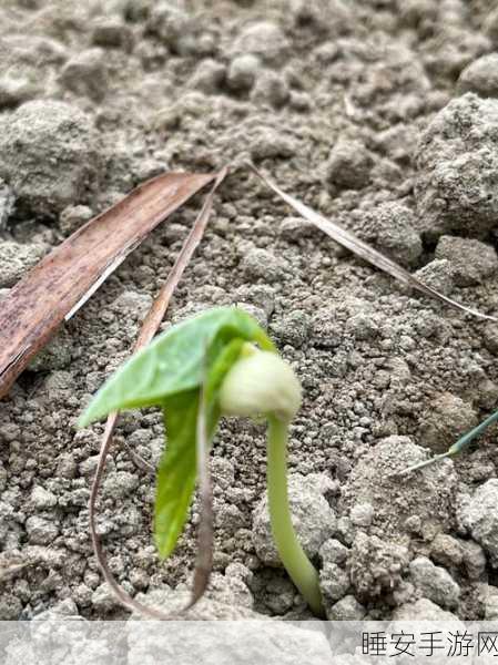 嫩草:新生绿意" 🌱