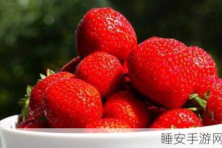草莓aop污版:草莓AOP非正规版" 🍓