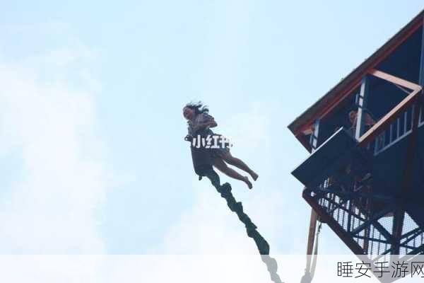 幸存小能手，挑战极限生存技巧的冒险之旅