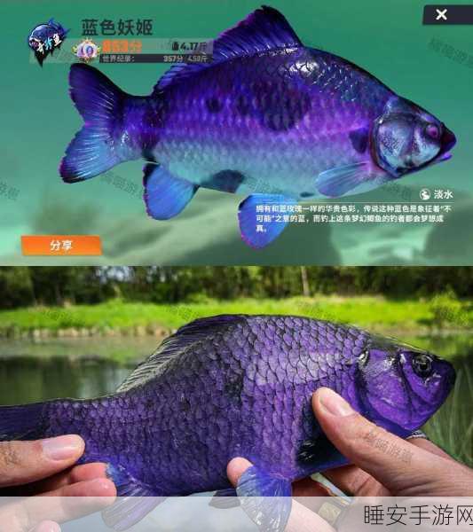 欢乐钓鱼大师终极之谜,最后一条鱼究竟为何?