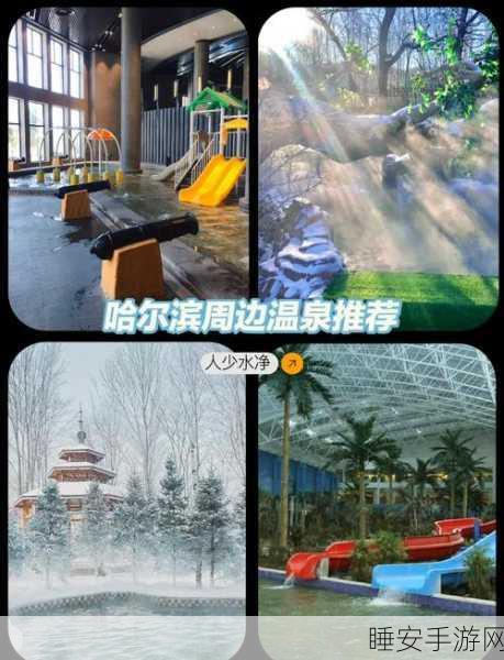 象牙山温泉度假村,打造你的梦幻度假帝国,放置模拟经营新体验!