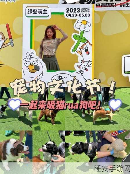 萌宠合体大挑战,吸猫2048休闲手游燃爆指尖