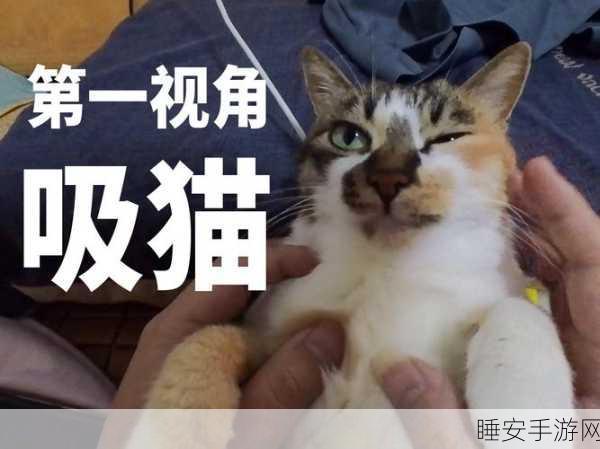 萌宠合体大挑战,吸猫2048休闲手游燃爆指尖