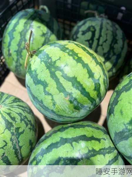 51吃瓜入口:51瓜友录"🍉