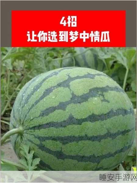 51吃瓜入口:51瓜友录"🍉