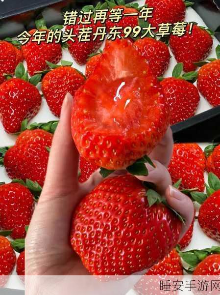 草莓视频入口:草莓视频入口链接" 🍓