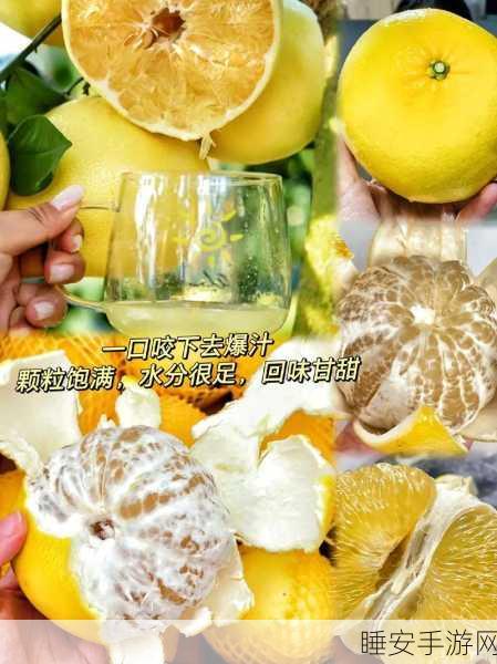 黄色蜜柚小视频:青柚趣味短视频"🍊