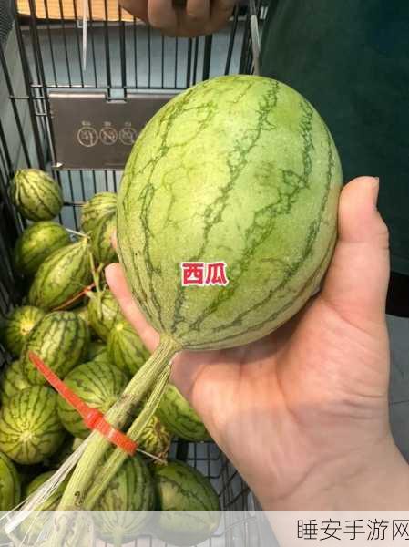 免费吃瓜网站:“无偿分享精彩内容网站”🍉