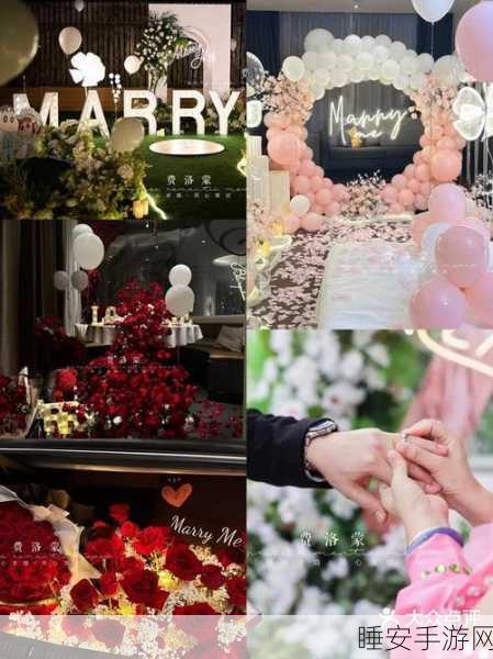 汉化版求婚大作战,浪漫求婚计划手游下载指南