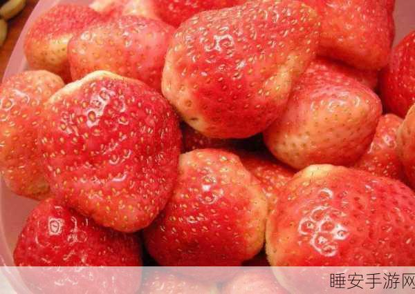 草莓视频你懂的:草莓视频你知道的" 🍓