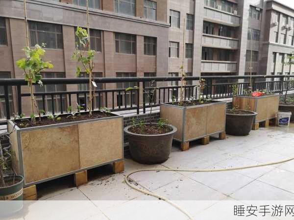 改写,小瓷砖花园,解锁消除冒险新技巧,下载体验精彩纷呈