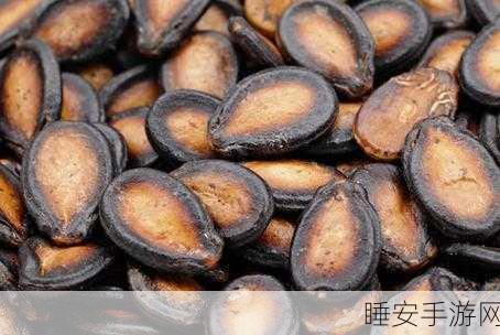黑瓜吃料每日更新:黑瓜食材日报更新" 🍽️