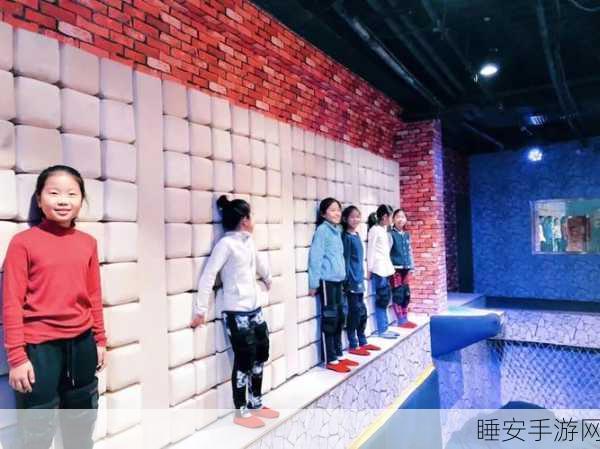 玛丽安娜的奇幻冒险,重温经典闯关之旅,挑战无限可能