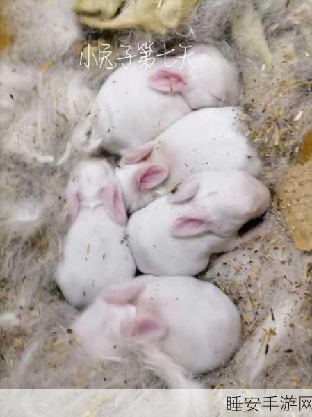班上一直摸我小兔兔：班上总是调戏我的小兔子＂🐰