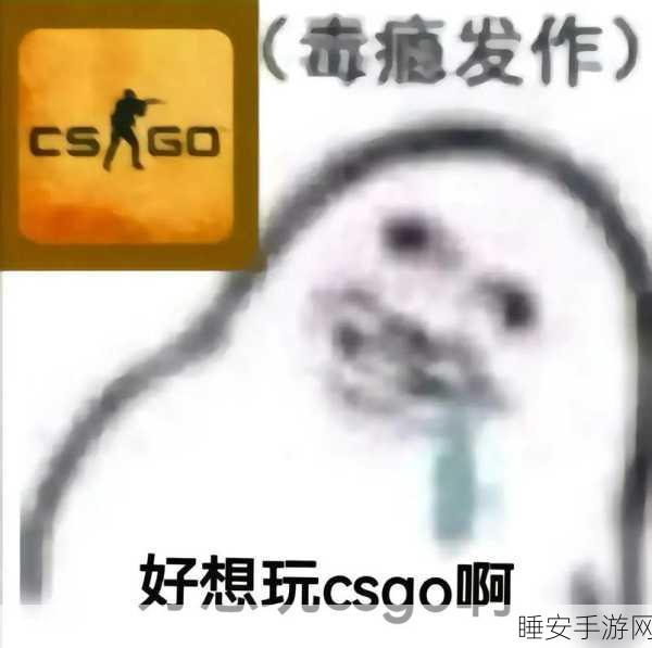 CSGO暴躁老姐的CSGO心得分享:CSGO高手老姐的游戏经验分享" 😊
