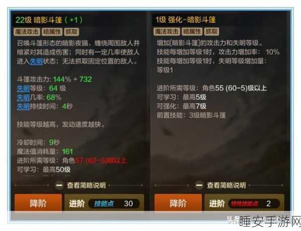 DNF 手游，探秘魔道学者的魅力与实力