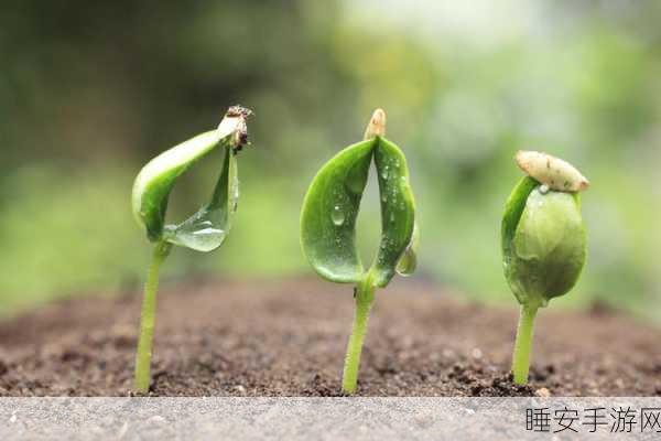 密芽:秘密的芽"🌱