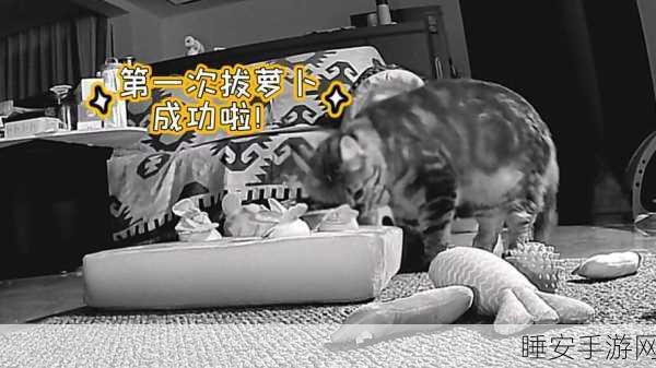 二人世界拔萝卜生猴子广告:两人同心拔萝卜,生出猴子趣广告" 🥕